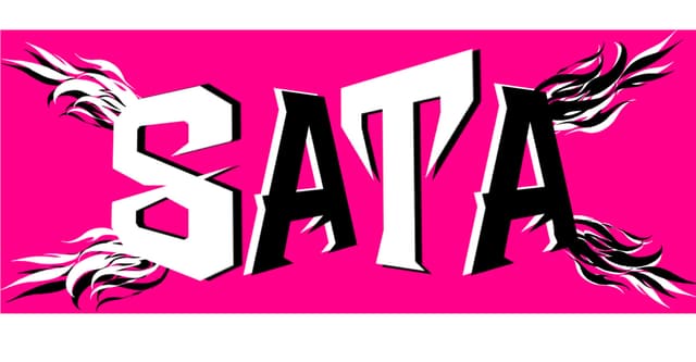 SATAハンドアウト診断